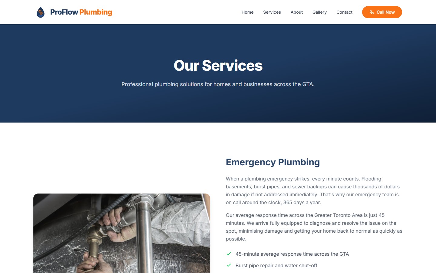 ProFlow Plumbing services page